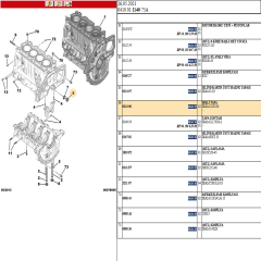 0243.06 Berlingo Blok Tapası 22x150 PSA Orjinal