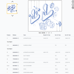 8200246248 Symbol Thalia 1.4 Hidrolik Direksiyon Pompa Kasnağı Vitesse 134