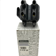 224336134R Symbol Thalia 1.4 Ateşleme Bobini Mais Orjinal