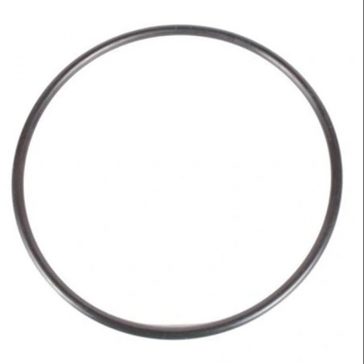 8200117602 Şanzıman Arka Kapak Oringi Skt 4H88750