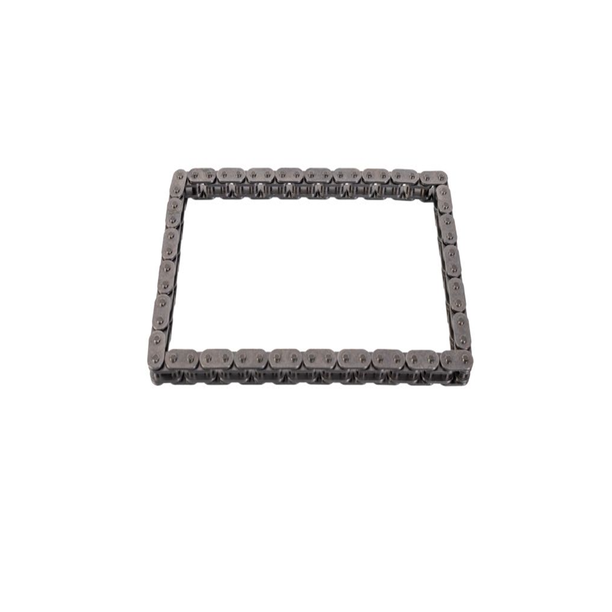 8200397125 Yağ Pompa Zinciri İNA 55301240